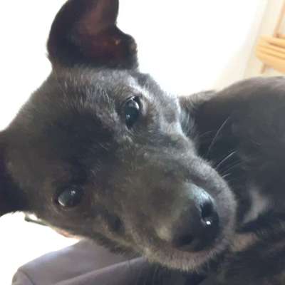 23. Handy Foto-Challenge-Beitrag-Bild