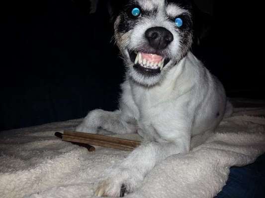 20. Handy -Foto-Callenge-Beitrag-Bild