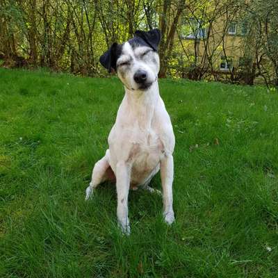 Das beste grinsefoto-Beitrag-Bild