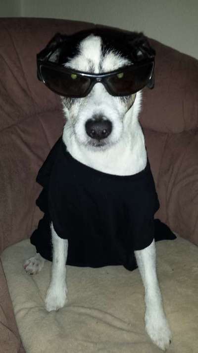 Hier ist der Spaßthread. Zum Schmunzeln und Kaputtlachen-Beitrag-Bild