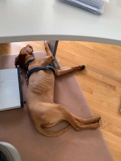 Zeigt her...-Beitrag-Bild