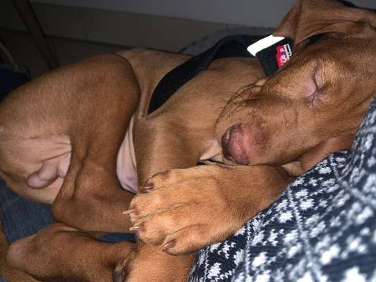 Fotochallange Nummer 5-Beitrag-Bild