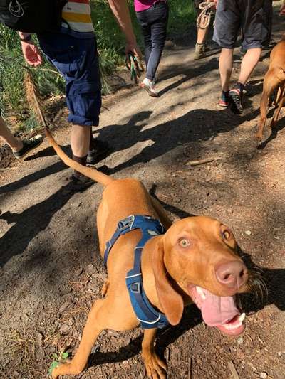 Das beste grinsefoto-Beitrag-Bild