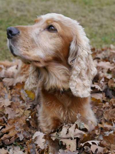 Fotochallange Nr. 57     PORTRÄT.   Beendet!!!!!!!!-Beitrag-Bild