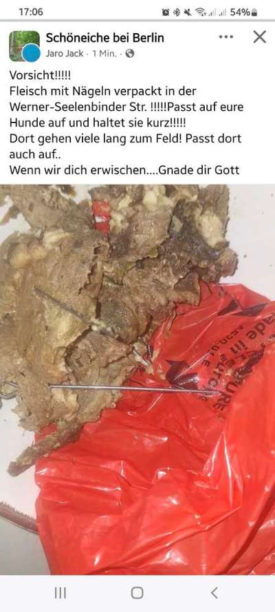 Giftköder-Fleisch mit Nägeln-Bild