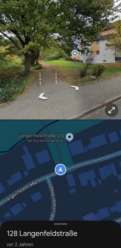 Giftköder-Riesen Bärenklau-Bild