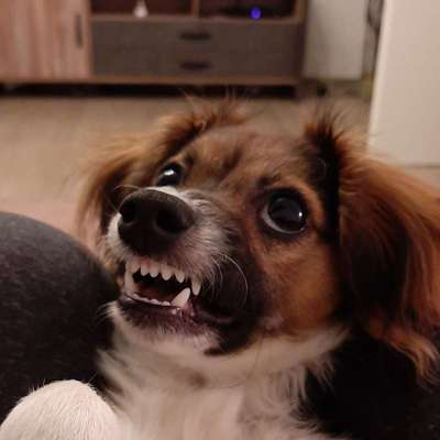 Lieblings Schnappschuss?-Beitrag-Bild