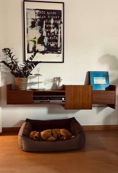 Körbchen / Hundebett-Beitrag-Bild