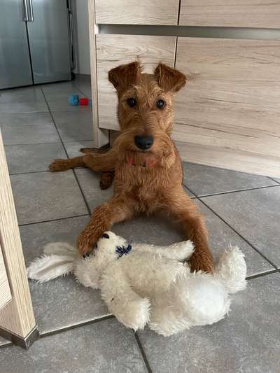 Lieblingsbild-Beitrag-Bild