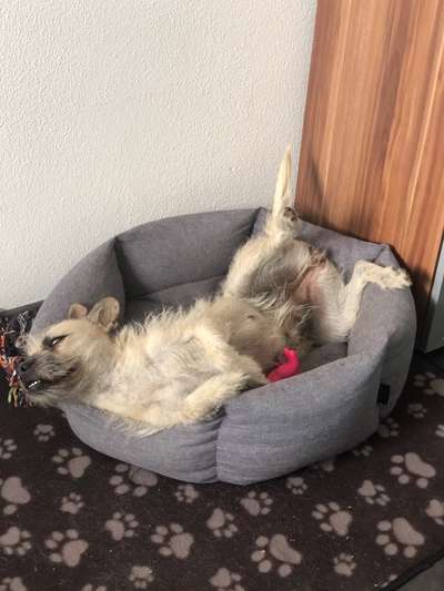 Die unbequemsten und lustigsten Schlafpositionen-Beitrag-Bild