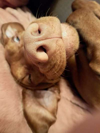 Fotochallenge Nr.122-Beitrag-Bild