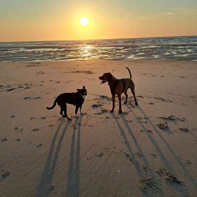 18. Farben Fotochallenge: Sonnenuntergang-Beitrag-Bild