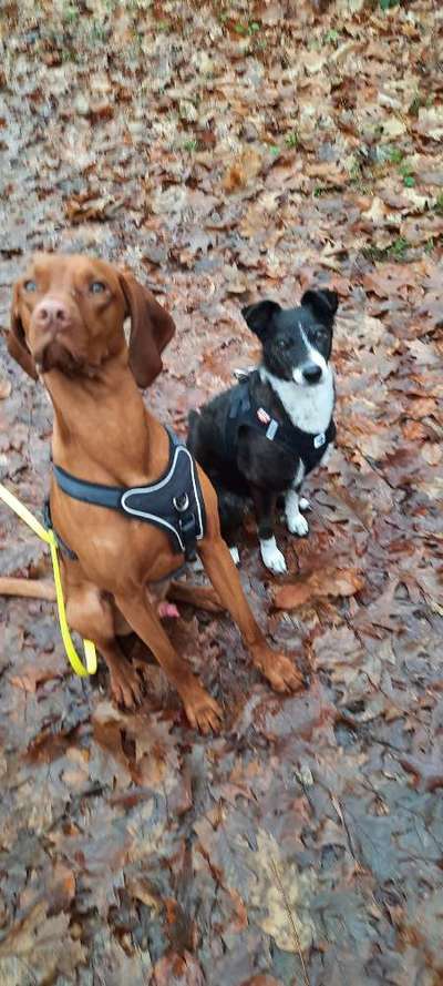 Ist das ein...?-Beitrag-Bild