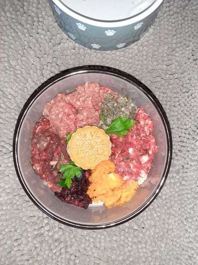 Zeigt her Eure Futternäpfe-Beitrag-Bild