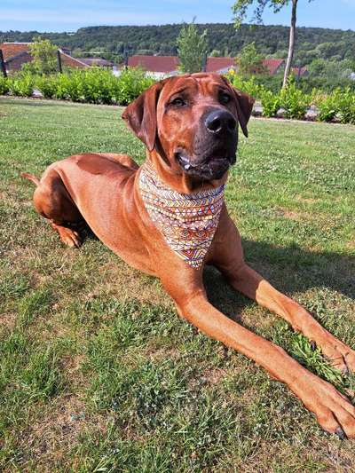 Fotowettbewerb zum Thema "Sonne"-Beitrag-Bild