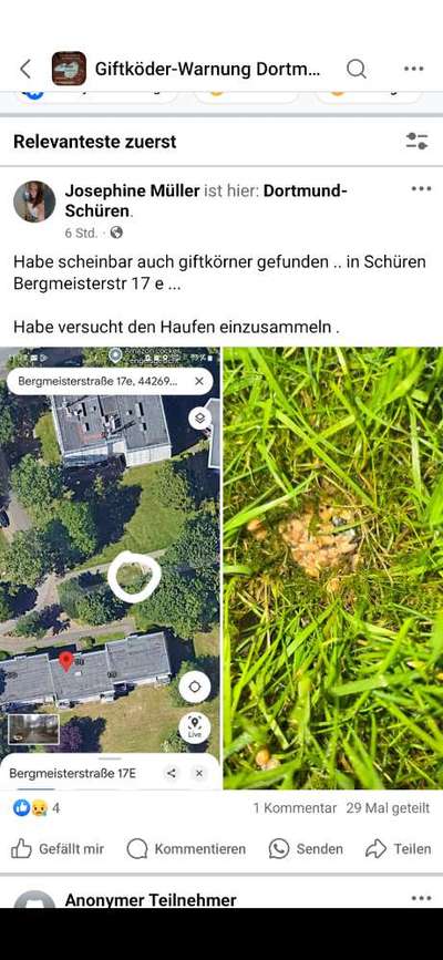 Giftköder-Vielleicht Giftkörner?-Bild