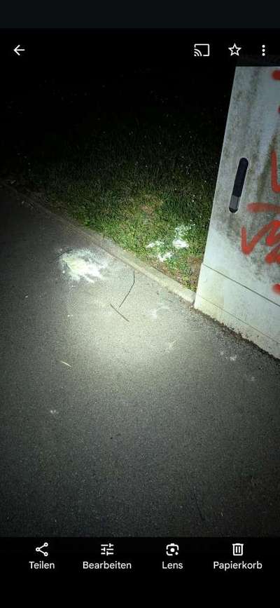 Giftköder-Milchpulver auf dem Gehweg, ggf. mit Gift-Bild