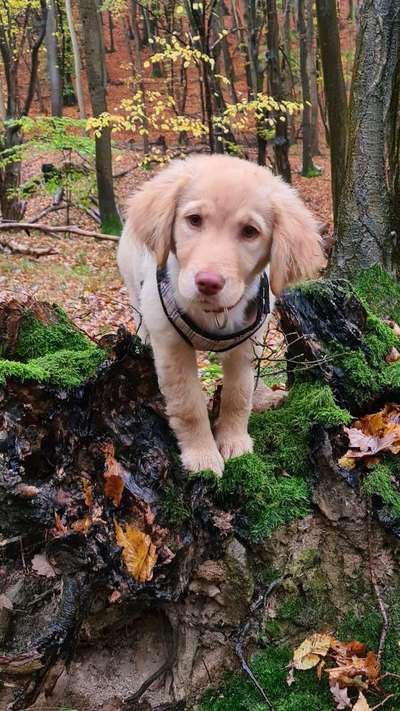 Fotochallange Nr. 57     PORTRÄT.   Beendet!!!!!!!!-Beitrag-Bild