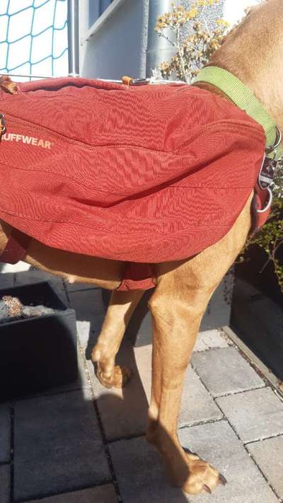 Ruffwear Frontrange Rucksack-Beitrag-Bild