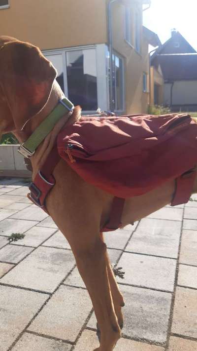 Ruffwear Frontrange Rucksack-Beitrag-Bild