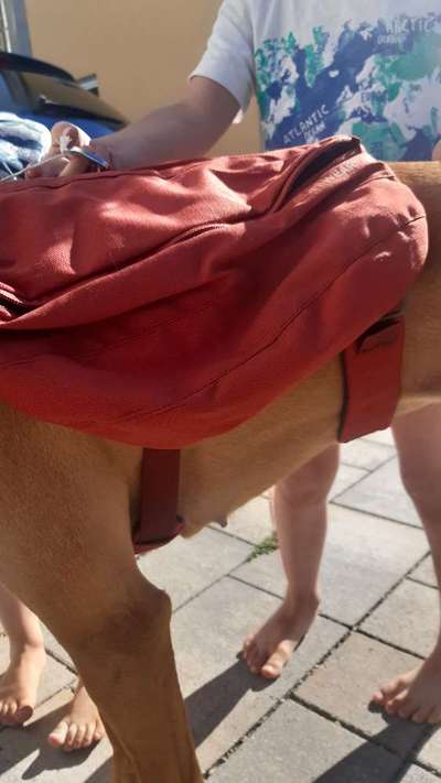 Ruffwear Frontrange Rucksack-Beitrag-Bild