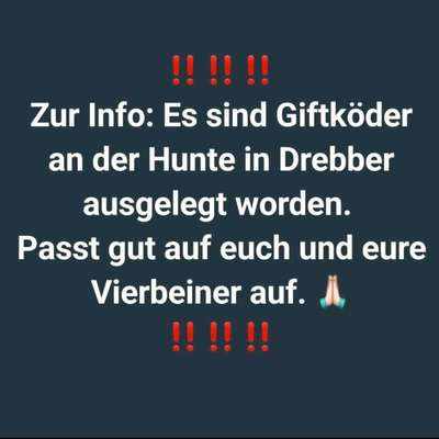 Giftköder-Giftköder an der Hunte-Bild