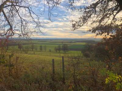 Hundeauslaufgebiet-Rundweg  Türkheim  Berg-Bild