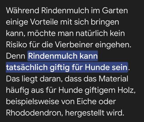 Holzchips Alternative für Rindenmulch?-Beitrag-Bild