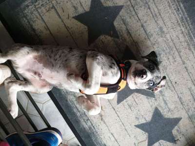 Lieblings Schnappschuss?-Beitrag-Bild