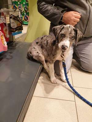 Lieblings Schnappschuss?-Beitrag-Bild