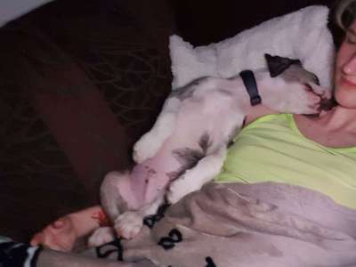 Lieblings Schnappschuss?-Beitrag-Bild