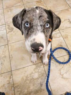 Lieblings Schnappschuss?-Beitrag-Bild