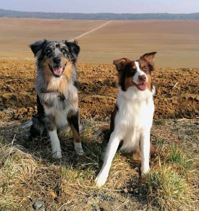 Lieblingsbild :D-Beitrag-Bild