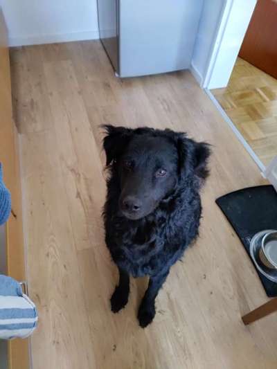 Doppelgänger gesucht !-Beitrag-Bild