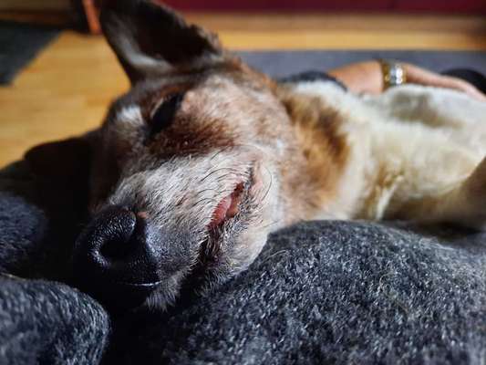 Fotochallange Nr. 57     PORTRÄT.   Beendet!!!!!!!!-Beitrag-Bild