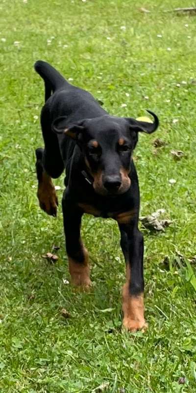 Un...scharf Bilder-Beitrag-Bild