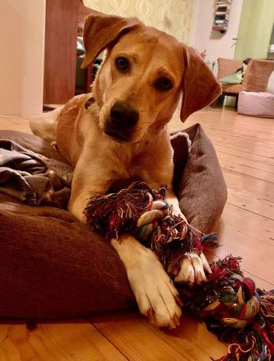 Lieblings Schnappschuss?-Beitrag-Bild