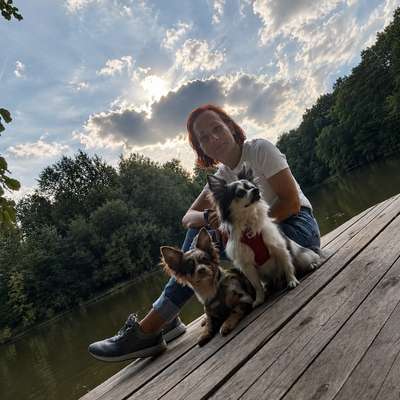 Hundetreffen-Spiel- und Spassrunden-Bild