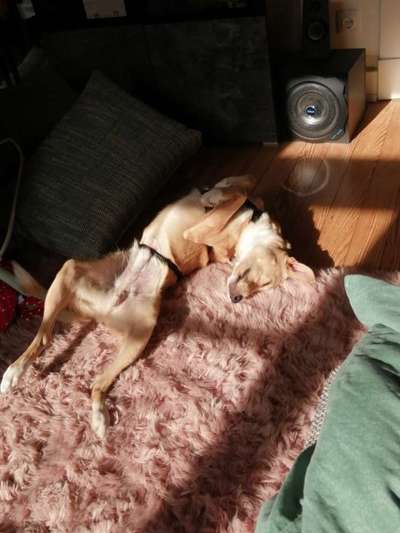 FOTO-Challenge  NR. 91: Die pure Entspannung-Beitrag-Bild