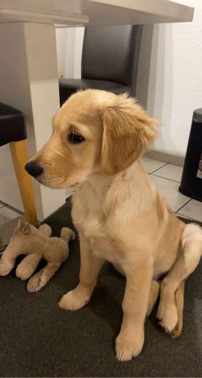 Lieblingsbild-Beitrag-Bild