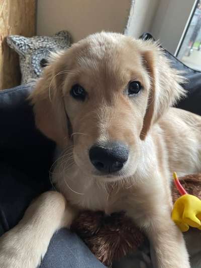 Fotochallange Nr. 57     PORTRÄT.   Beendet!!!!!!!!-Beitrag-Bild