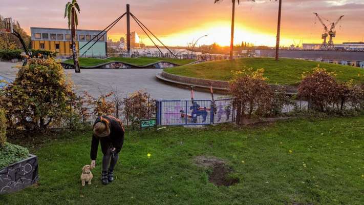 Hundeauslaufgebiet-Park Fiction-Bild