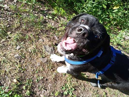 Das beste grinsefoto-Beitrag-Bild