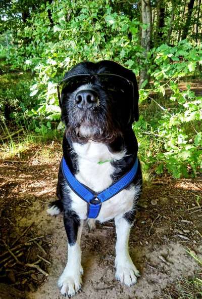 Moviestar-Pics!-Beitrag-Bild