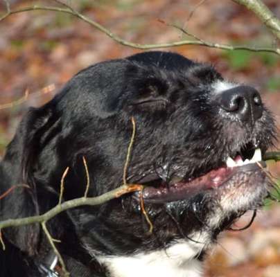 Theos Fotochallenge Nr. 3-Beitrag-Bild