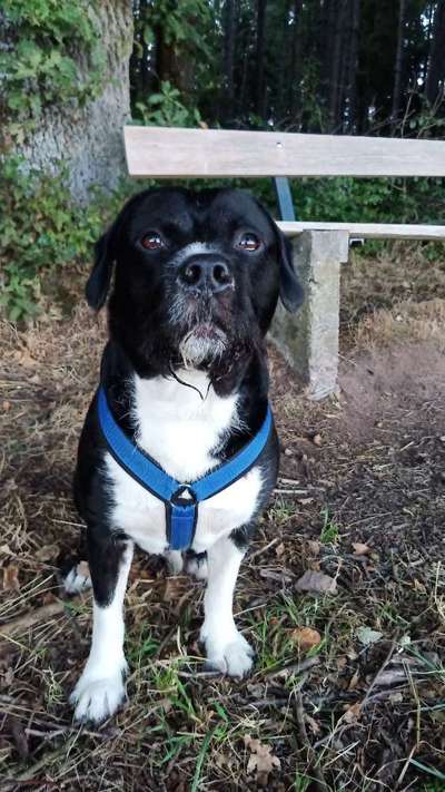 Ist das ein...?-Beitrag-Bild