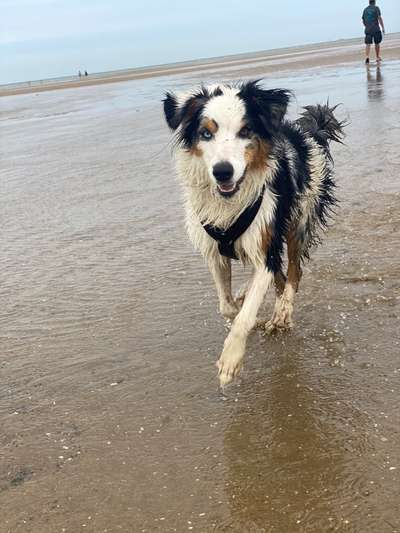 Fotochallenge Nr. 94 It's summer time-Beitrag-Bild