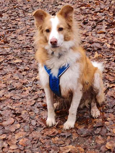 Zeigt mir doch mal eure Dreckspätze-Beitrag-Bild