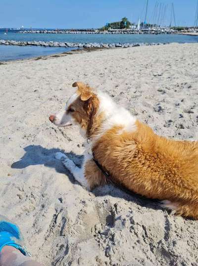 Fotochallenge Nr. 67: Euer Lieblingsbild-Beitrag-Bild