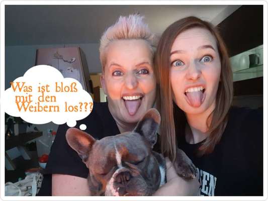 Die lustigsten Selfies mit Deinem Hund !-Beitrag-Bild